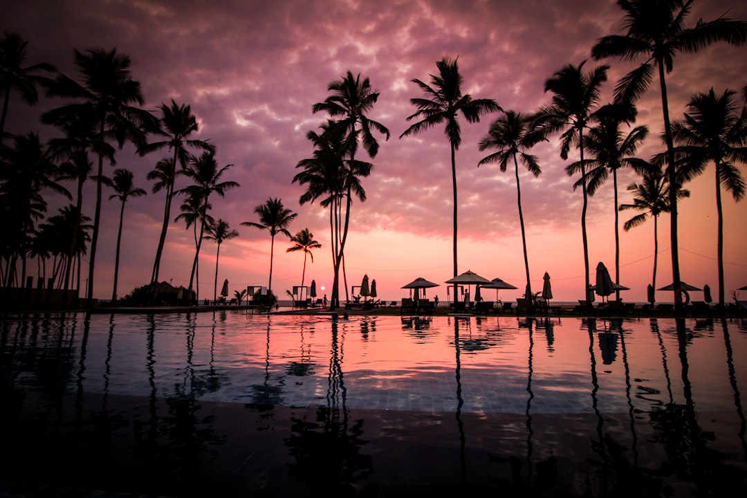 lilytrips-com_b8b645f
